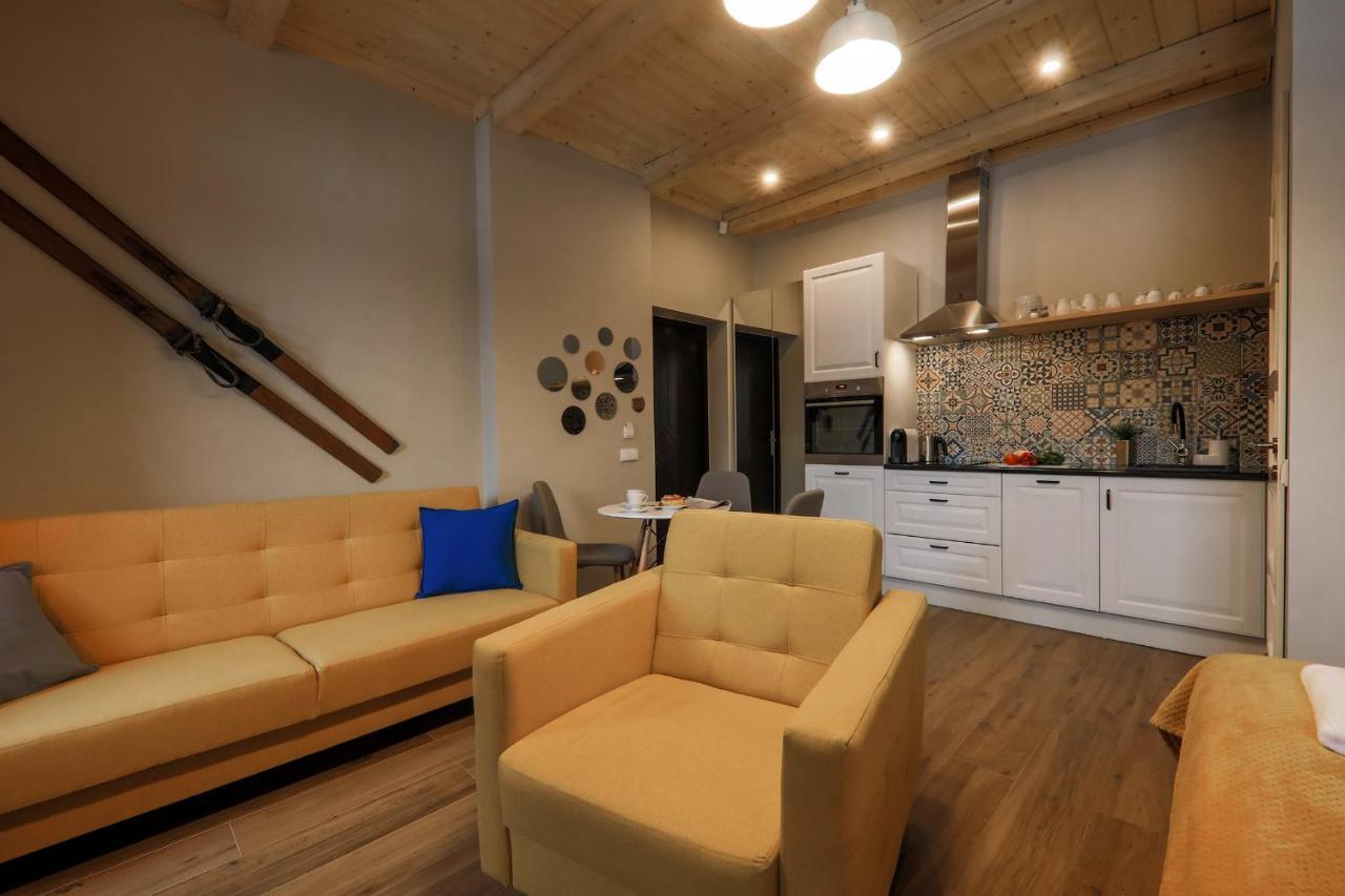 Apartment Mecenasowka